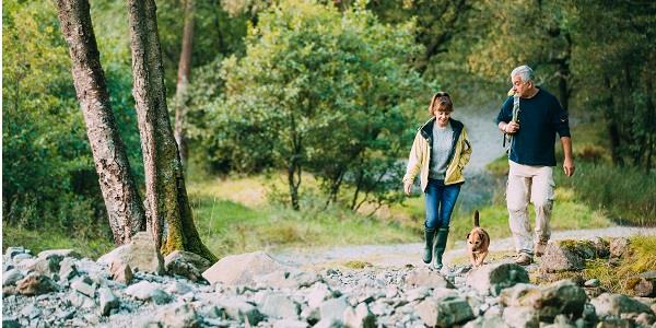 Best dog walks in the Lake District - See our Top 5 Picks